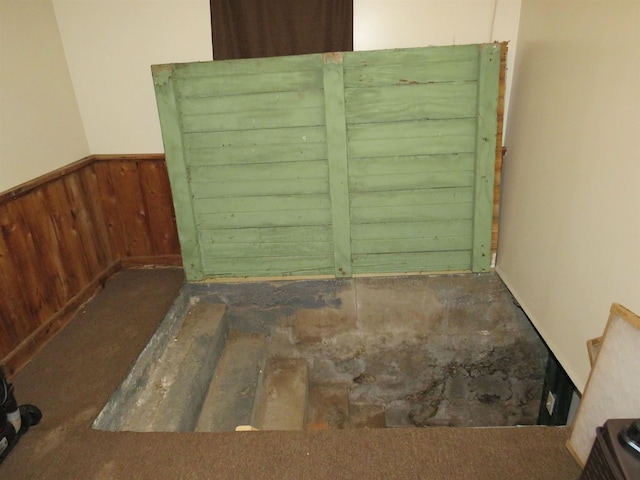 219 Fulton Ave, Rochester, IN 46975 - unfurnished room featuring wainscoting, wooden walls, and carpet flooring