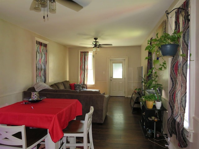 219 Fulton Ave, Rochester, IN 46975 - dining area with a ceiling fan and dark wood-style floors
