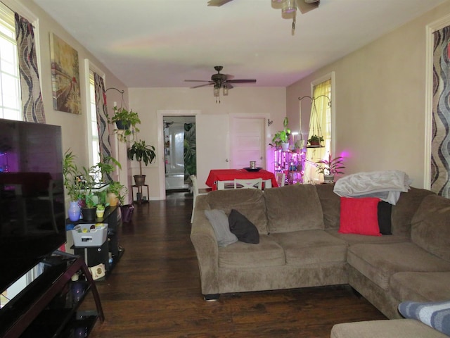 219 Fulton Ave, Rochester, IN 46975 - living area with ceiling fan and wood finished floors