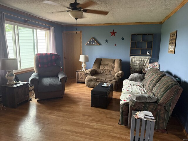 2286 N County Road 200 W, New Castle, IN 47362 - living room with a ceiling fan, a textured ceiling, ornamental molding, and light wood finished floors