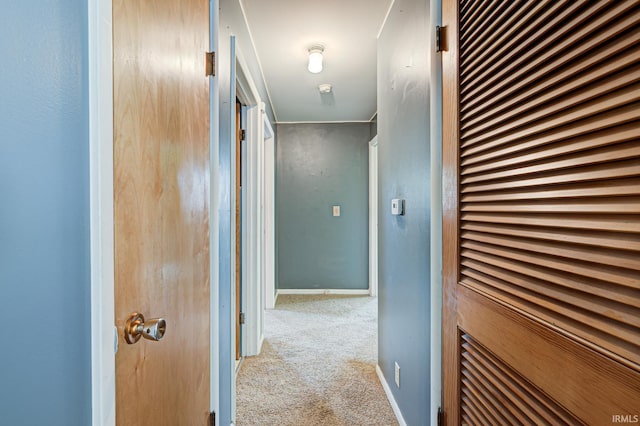 6412 E Oak St, Evansville, IN 47715 - hall with carpet flooring