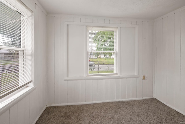 2305 N Armstrong St, Kokomo, IN 46901 - carpeted empty room featuring wood walls