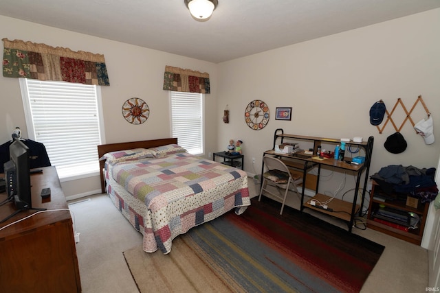 920 Cary Ct, South Bend, IN 46614 - view of carpeted bedroom