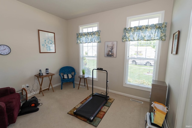 920 Cary Ct, South Bend, IN 46614 - workout area with carpet flooring and healthy amount of natural light