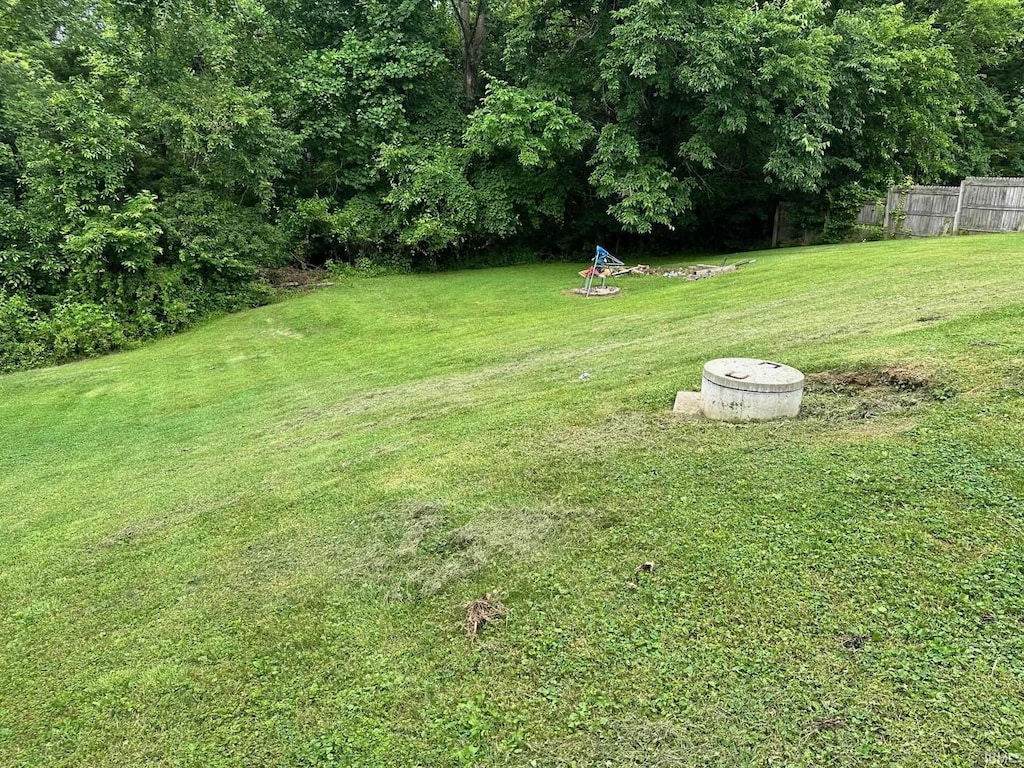 1165 Freeman Rd, Spencer, IN 47460 - view of yard