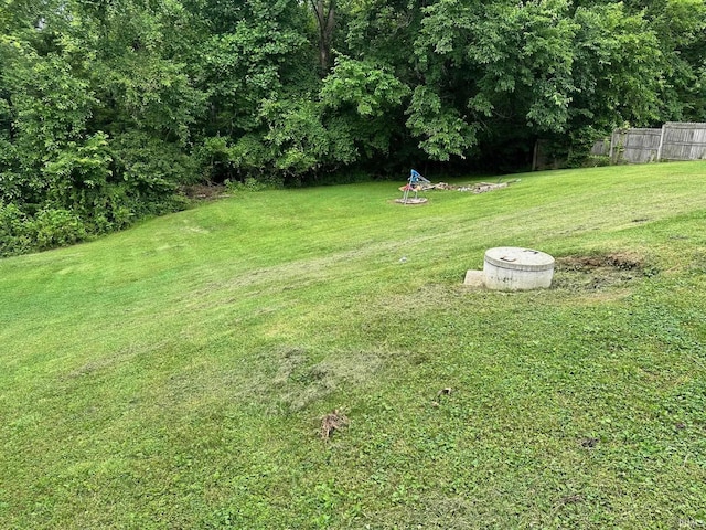 1165 Freeman Rd, Spencer, IN 47460 - view of yard