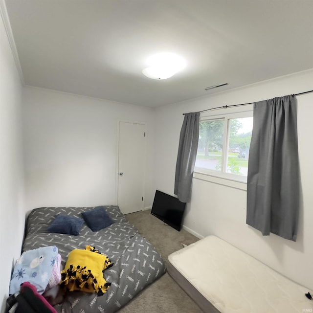 125 Ruby Rd, Attica, IN 47918 - view of carpeted bedroom