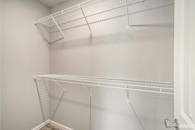 5116 Bankside Ct, Mishawaka, IN 46544 - view of spacious closet