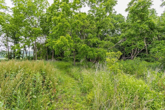 1000 N 500 E, Anderson, IN 46012 - view of local wilderness