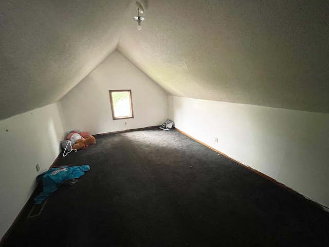 125 Shalley Dr, Plymouth, IN 46563 - additional living space featuring lofted ceiling, carpet, and a textured ceiling