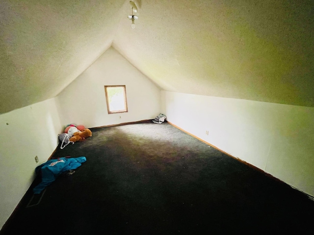 125 Shalley Dr, Plymouth, IN 46563 - additional living space with lofted ceiling, carpet, and a textured ceiling