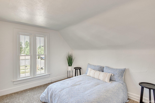 516 W Navarre St, South Bend, IN 46616 - bedroom featuring lofted ceiling, carpet, and a textured ceiling