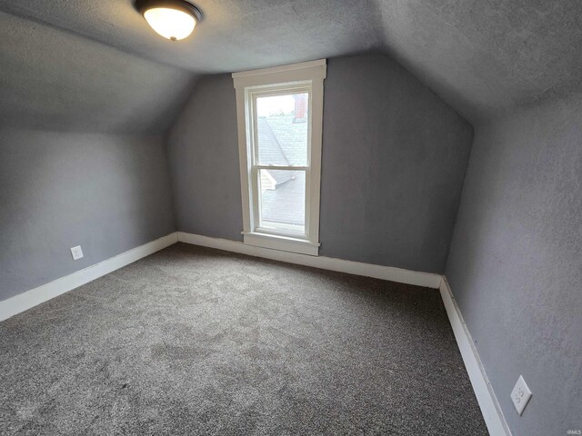107 W S B St, Gas City, IN 46933 - bonus room featuring a textured ceiling, lofted ceiling, and carpet
