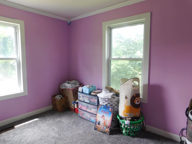 4597 S W Washington School Rd, Salem, IN 47167 - miscellaneous room with plenty of natural light, carpet floors, and crown molding