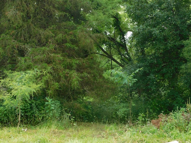 4597 S W Washington School Rd, Salem, IN 47167 - view of local wilderness