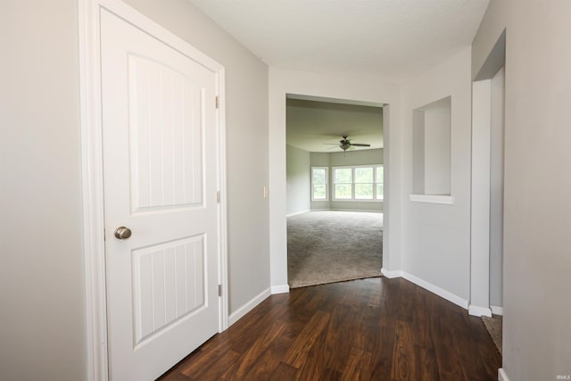 2410 Trillium Cv, Huntertown, IN 46748 - hall featuring dark wood-type flooring and baseboards