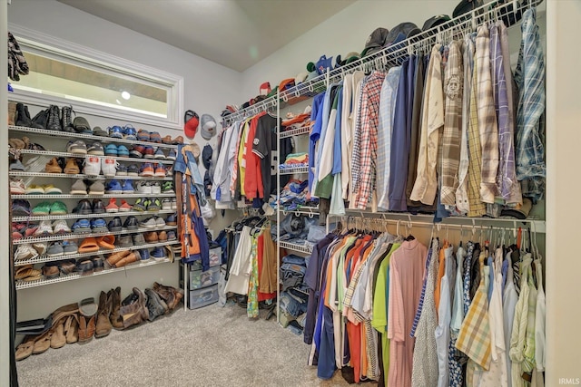5007 W Michael Ln, Bloomington, IN 47404 - spacious closet with carpet