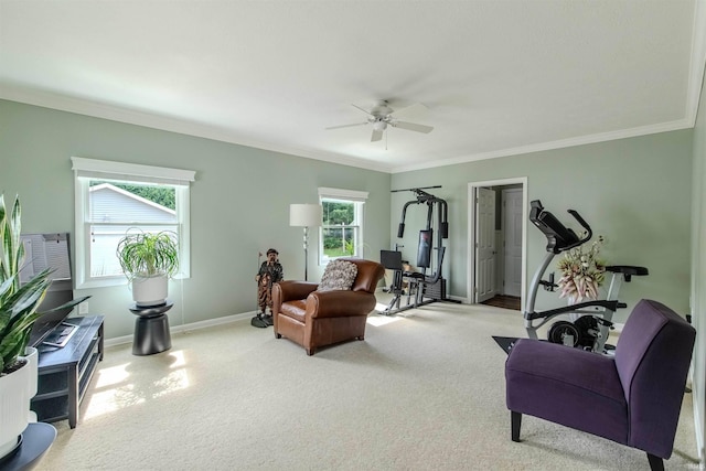 906 N Townline Rd, Lagrange, IN 46761 - living area with a ceiling fan, carpet, healthy amount of natural light, and ornamental molding