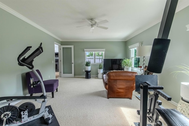 906 N Townline Rd, Lagrange, IN 46761 - exercise room featuring ceiling fan, carpet floors, and ornamental molding