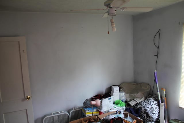 2012 S Vine St, Muncie, IN 47302 - bedroom with ceiling fan
