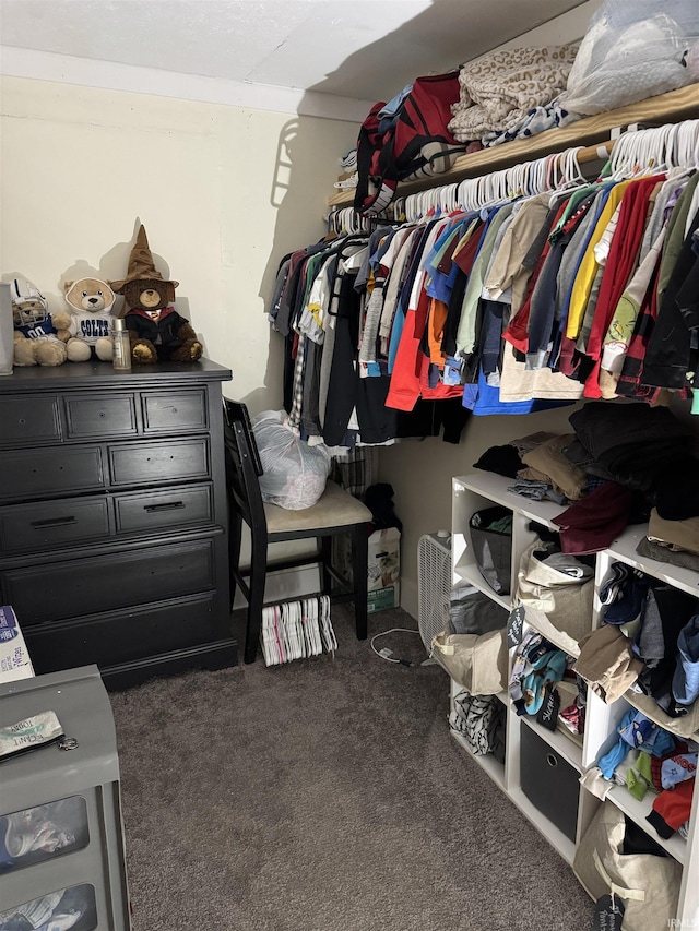 562 Railroad St, Wabash, IN 46992 - spacious closet featuring carpet floors