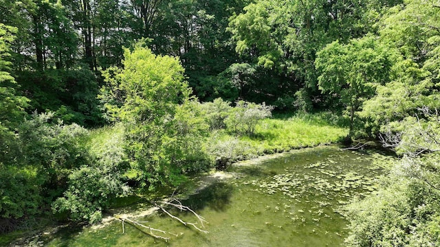 4115 N Aquarius Dr, Monticello, IN 47960 - view of wooded area