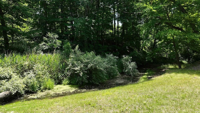 4115 N Aquarius Dr, Monticello, IN 47960 - view of nature
