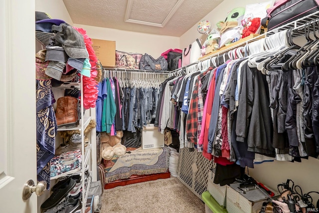 140 Wadsworth Ct, Lafayette, IN 47905 - walk in closet featuring attic access and carpet flooring