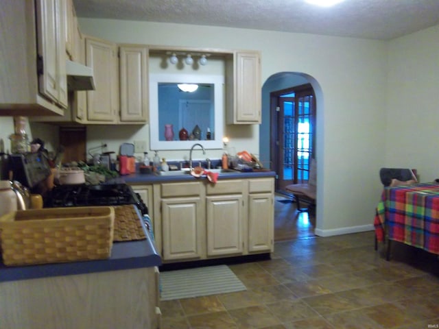 917 N Maple St, Bloomington, IN 47404 - kitchen with arched walkways and under cabinet range hood
