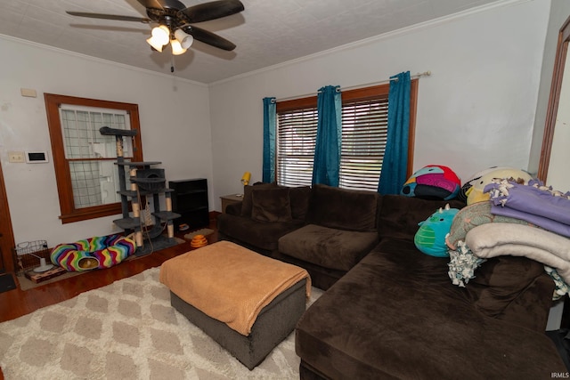 1121 S 23rd St, South Bend, IN 46615 - living room with wood finished floors, ceiling fan, and crown molding