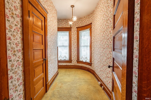 8 Hale St, Lafontaine, IN 46940 - corridor with wallpapered walls and carpet floors