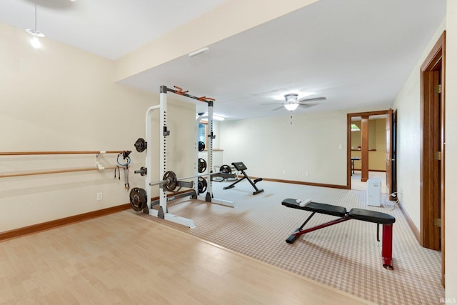 3631 E Pierceton Rd, Warsaw, IN 46580 - exercise area featuring a ceiling fan, carpet, and wood finished floors