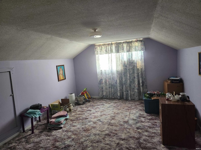 273 W Faculty St, Paoli, IN 47454 - bonus room with vaulted ceiling, carpet floors, and a textured ceiling