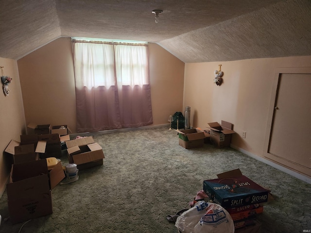273 W Faculty St, Paoli, IN 47454 - bonus room with vaulted ceiling, a textured ceiling, and carpet floors