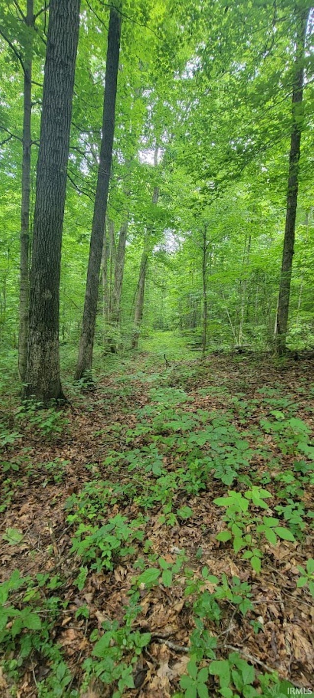 TRACT2 N State Rd 450, Shoals, IN 47581