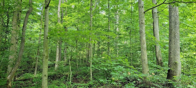 TRACT2 N State Rd 450, Shoals, IN 47581