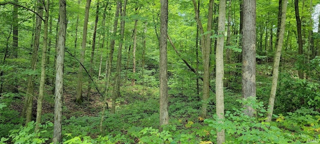 TRACT2 N State Rd 450, Shoals, IN 47581