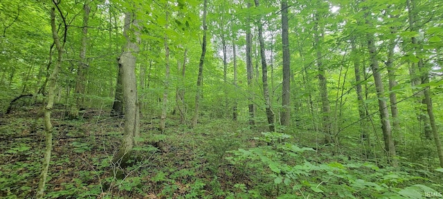TRACT2 N State Rd 450, Shoals, IN 47581
