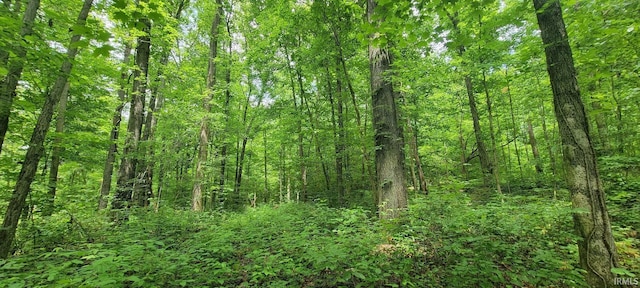 TRACT2 N State Rd 450, Shoals, IN 47581