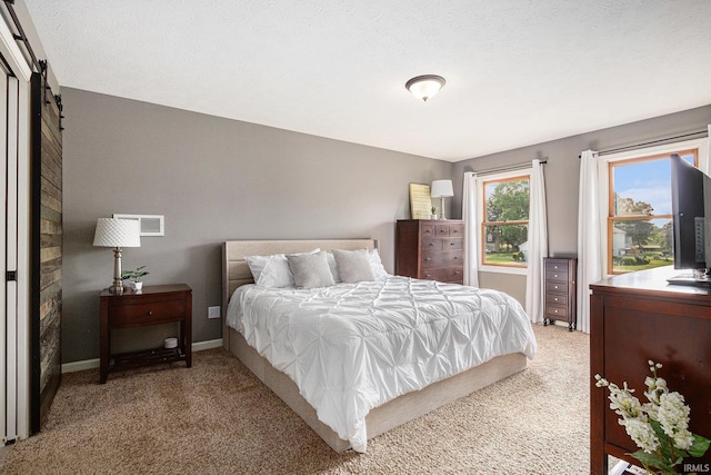 14341 Teal Ct, Granger, IN 46530 - bedroom featuring a barn door and light carpet