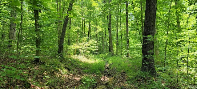 High Gap Rd, Shoals, IN 47581