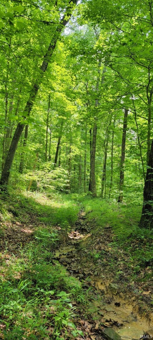 High Gap Rd, Shoals, IN 47581