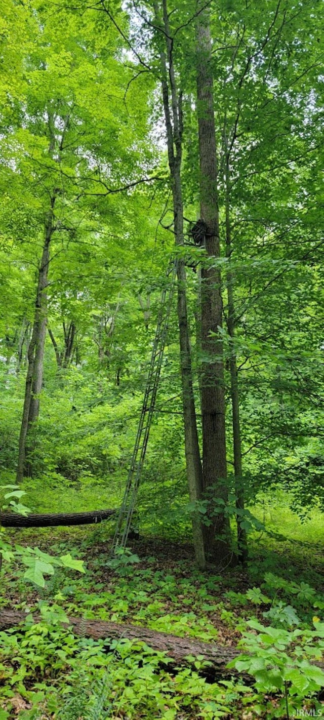 High Gap Rd, Shoals, IN 47581
