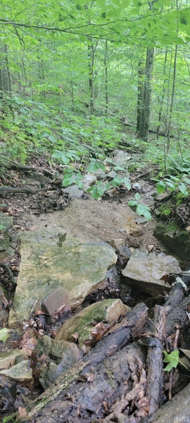 High Gap Rd, Shoals, IN 47581