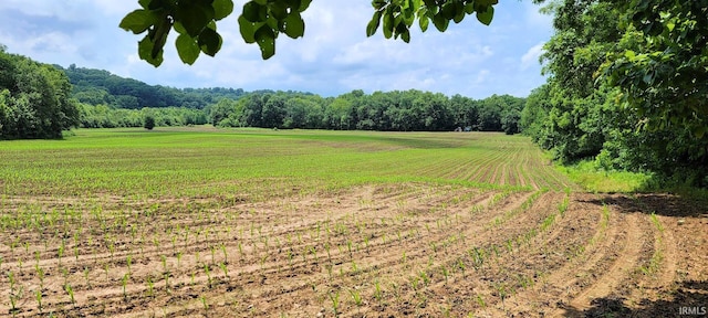 High Gap Rd, Shoals, IN 47581