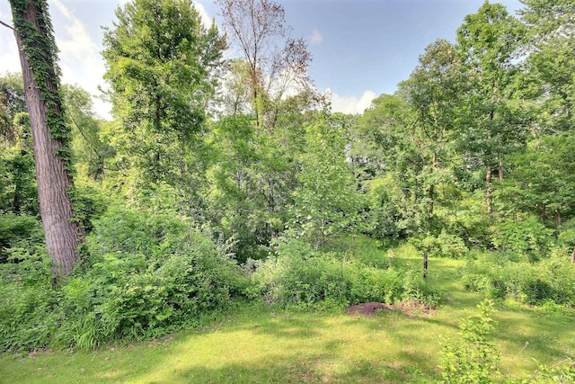8426 Creekside Pl, Fort Wayne, IN 46804 - view of yard featuring a view of trees