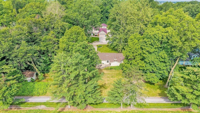 16801 Darling Rd, Woodburn, IN 46797 - aerial view of a heavily wooded area