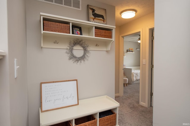44 Fairfieldview Ct, Lafayette, IN 47905 - mudroom with carpet floors and ceiling fan