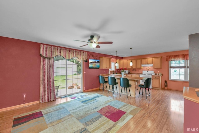 29876 County Road 18th Rd, Elkhart, IN 46517 - kitchen featuring light countertops, a breakfast bar area, under cabinet range hood, light wood-style floors, and a ceiling fan