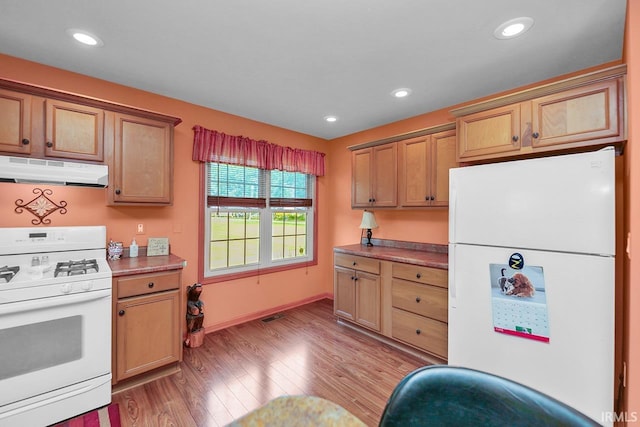 29876 County Road 18th Rd, Elkhart, IN 46517 - kitchen featuring white appliances, under cabinet range hood, light wood-type flooring, and recessed lighting